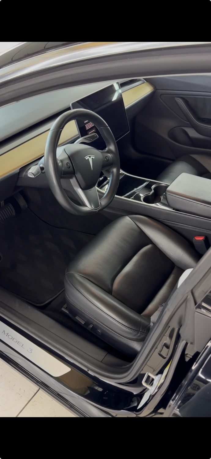 tesla schoon